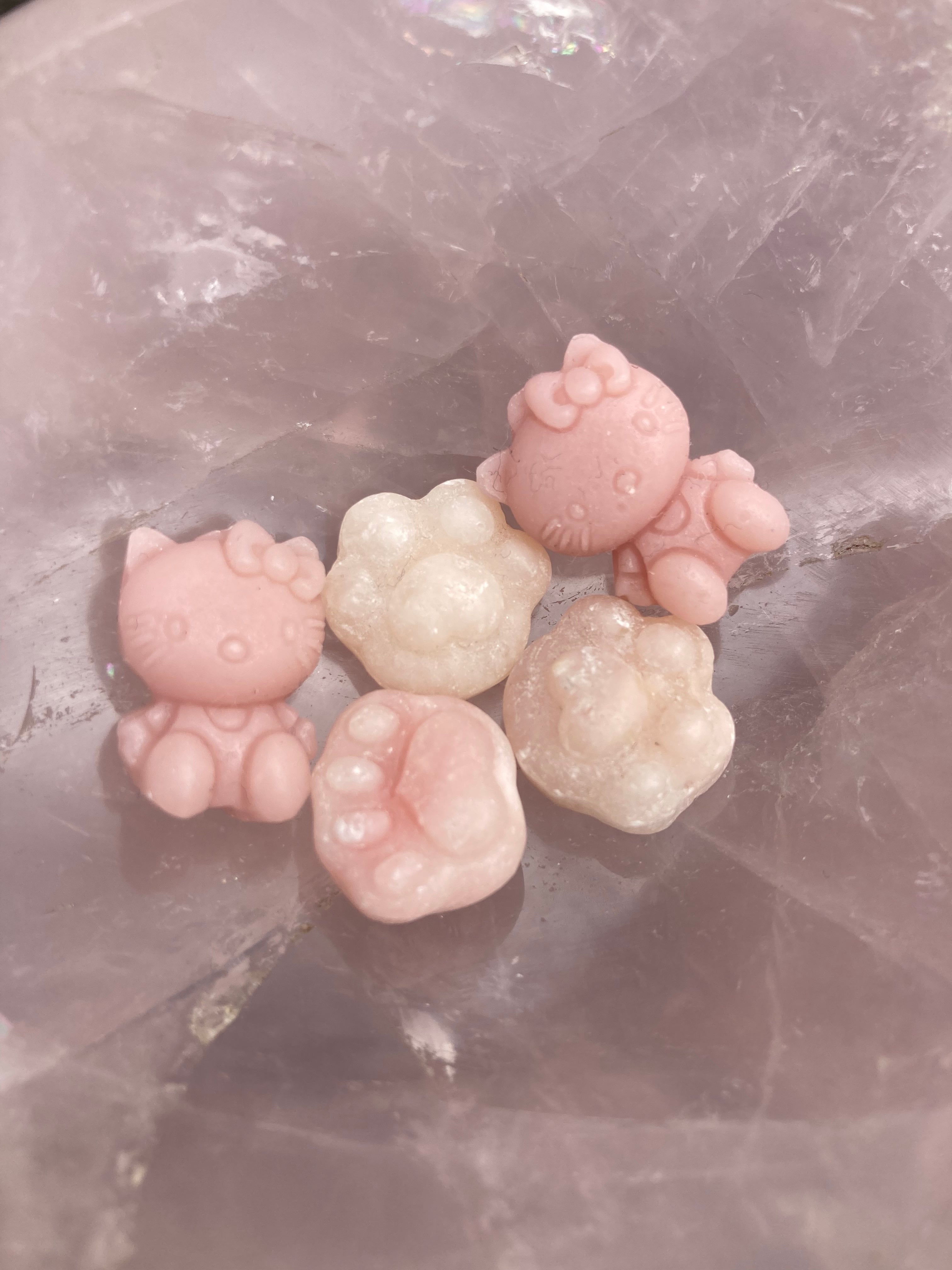 Mini Pink Opal HK 💖 & Paws 🐾