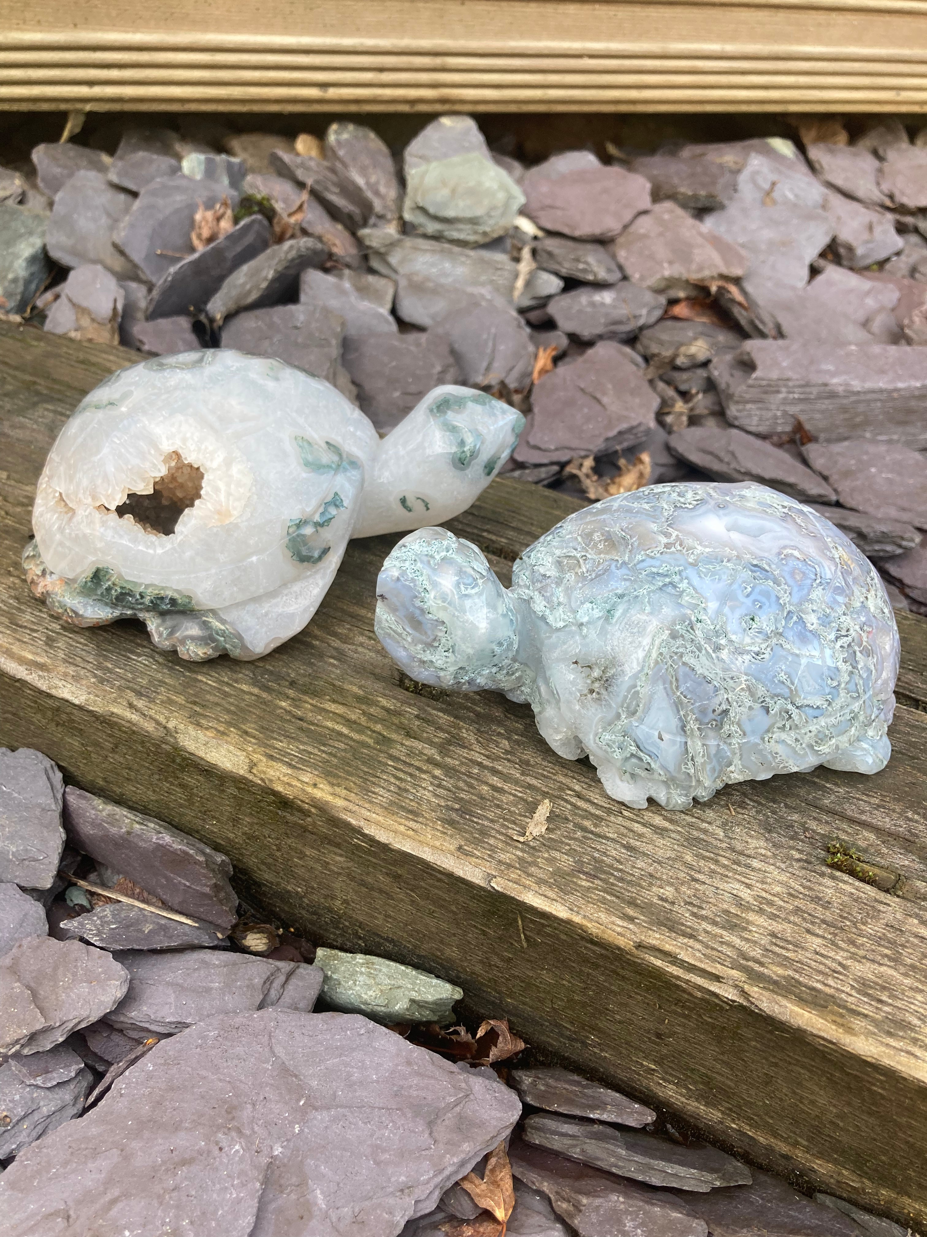 Druzy Moss Agate large turtles