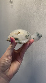 Load and play video in Gallery viewer, Druzy Moss Agate large turtles
